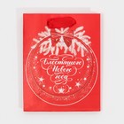 Пакет ламинированный вертикальный «Блестящего Нового Года», 12 × 15 × 5,5 см 7695812