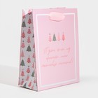 Пакет ламинированный вертикальный «Зимние радости», 12 × 15 × 5,5 см 7695813