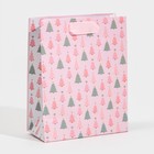 Пакет ламинированный вертикальный «Зимние радости», 12 × 15 × 5,5 см 7695813