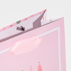 Пакет ламинированный вертикальный «Зимние радости», 12 × 15 × 5,5 см 7695813