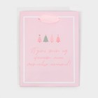 Пакет ламинированный вертикальный «Зимние радости», 12 × 15 × 5,5 см 7695813