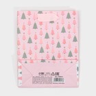 Пакет ламинированный вертикальный «Зимние радости», 12 × 15 × 5,5 см 7695813