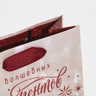 Пакет ламинированный вертикальный «Магия созвездий», 12 × 15 × 5,5 см 7695830