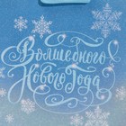 Пакет ламинированный вертикальный «Морозное сияние», 12 × 15 × 5,5 см 7695834