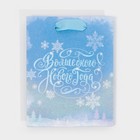 Пакет ламинированный вертикальный «Морозное сияние», 12 × 15 × 5,5 см 7695834