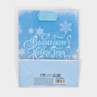 Пакет ламинированный вертикальный «Морозное сияние», 12 × 15 × 5,5 см 7695834