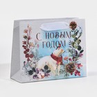 Пакет ламинированный горизонтальный «Мишка», 15 × 12 × 5,5 см 7695836