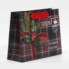 Пакет ламинированный горизонтальный «На северный полюс», 15 × 12 × 5,5 см 7695842