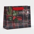 Пакет ламинированный горизонтальный «На северный полюс», 15 × 12 × 5,5 см 7695842