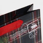 Пакет ламинированный горизонтальный «На северный полюс», 15 × 12 × 5,5 см 7695842