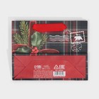 Пакет ламинированный горизонтальный «На северный полюс», 15 × 12 × 5,5 см 7695842