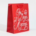 Пакет ламинированный вертикальный «От Дедушки Мороза», 12 × 15 × 5,5 см 7695848