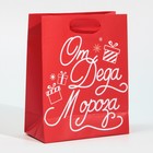 Пакет ламинированный вертикальный «От Дедушки Мороза», 12 × 15 × 5,5 см 7695848