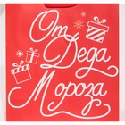 Пакет ламинированный вертикальный «От Дедушки Мороза», 12 × 15 × 5,5 см 7695848