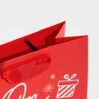 Пакет ламинированный вертикальный «От Дедушки Мороза», 12 × 15 × 5,5 см 7695848