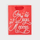 Пакет ламинированный вертикальный «От Дедушки Мороза», 12 × 15 × 5,5 см 7695848
