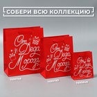 Пакет ламинированный вертикальный «От Дедушки Мороза», 12 × 15 × 5,5 см 7695848