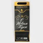 Пакет под бутылку «Шампанское», 13 х 36 х 10 см 7655909