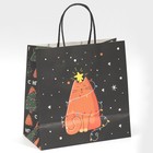 Пакет подарочный «Зажигай», 22 × 22 × 11 см 7661219