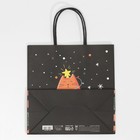 Пакет подарочный «Зажигай», 22 × 22 × 11 см 7661219