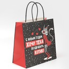 Пакет подарочный «Котик», 22 × 22 × 11 см 7661231