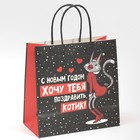 Пакет подарочный «Котик», 22 × 22 × 11 см 7661231