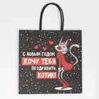 Пакет подарочный «Котик», 22 × 22 × 11 см 7661231