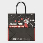 Пакет подарочный «Котик», 22 × 22 × 11 см 7661231