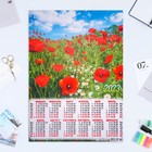 Календарь листовой "Цветы 2023 - 9" 2023 год, бумага, А2 - фото 6927380