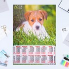 Календарь листовой "Собаки 2023 - 3" 2023 год, бумага, А2 - фото 6927383
