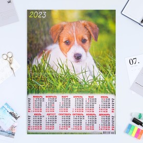 Календарь листовой "Собаки 2023 - 3" 2023 год, бумага, А2