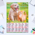 Календарь листовой "Собаки 2023 - 4" 2023 год, бумага, А2 - фото 6927384