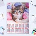 Календарь листовой "Кошки 2023 - 2" 2023 год, бумага, А2 - фото 6927390