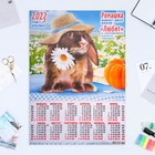 Календарь листовой "Символ Года 2023 - 25" 2023 год, бумага, А2 - фото 6927428