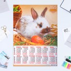 Календарь листовой "Символ Года 2023 - 28" 2023 год, бумага, А2 - фото 6927431