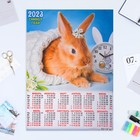 Календарь листовой "Символ Года 2023 - 35" 2023 год, бумага, А2 - фото 6927437