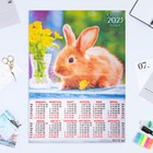 Календарь листовой "Символ Года 2023 - 49" 2023 год, бумага, А2 - фото 6927450