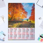 Календарь листовой "Природа 2023 - 13" 2023 год, бумага, А2 - фото 6927469