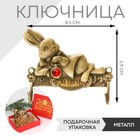 Ключница металл «На удачу», заяц, 5,9 х 8,5 см 7811878 - фото 7014957