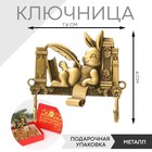 Ключница металл «На книгах», заяц, 6 х 7,6 см 7811879 - фото 5410001