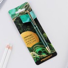 Ручка металл шариковая, синяя паста, 1 мм "Природа - лучший художник РОССИИ" - фото 802138781