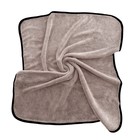 Микрофибра Shine Systems Easy Dry Plus Towel, супервпитывающая 9158301 Микрофибра Shine Systems Easy Dry Plus Towel, супервпитывающая 9158301