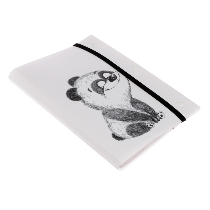 Panda 20