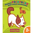 Домашние животные. Для детей от 2 лет 9178521 - фото 6930419