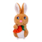Мягкая игрушка «Кролик», на брелоке, цвета МИКС - фото 6930782