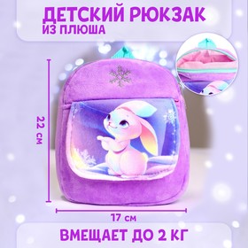 Рюкзак детский плюшевый «Зайка и снежинка» с карманом, 22×17 см