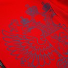 Толстовка на молнии President, размер XS, цвет красный - фото 40936