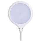 Лампа настольная National NL-59LED, сенсор, 8Вт, цвет белый - фото 3365621 Лампа настольная National NL-59LED, сенсор, 8Вт, цвет белый - фото 3365621