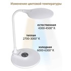 Лампа настольная National NL-59LED, сенсор, 8Вт, цвет белый - фото 3365615 Лампа настольная National NL-59LED, сенсор, 8Вт, цвет белый - фото 3365615