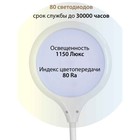 Лампа настольная National NL-59LED, сенсор, 8Вт, цвет белый - фото 3365616 Лампа настольная National NL-59LED, сенсор, 8Вт, цвет белый - фото 3365616